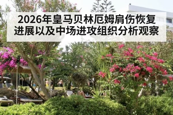 2026年皇马贝林厄姆肩伤恢复进展以及中场进攻组织分析观察